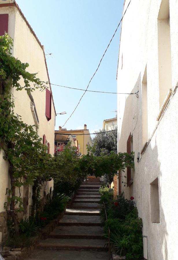La Grande Bleue Apartman Banyuls-sur-Mer Kültér fotó