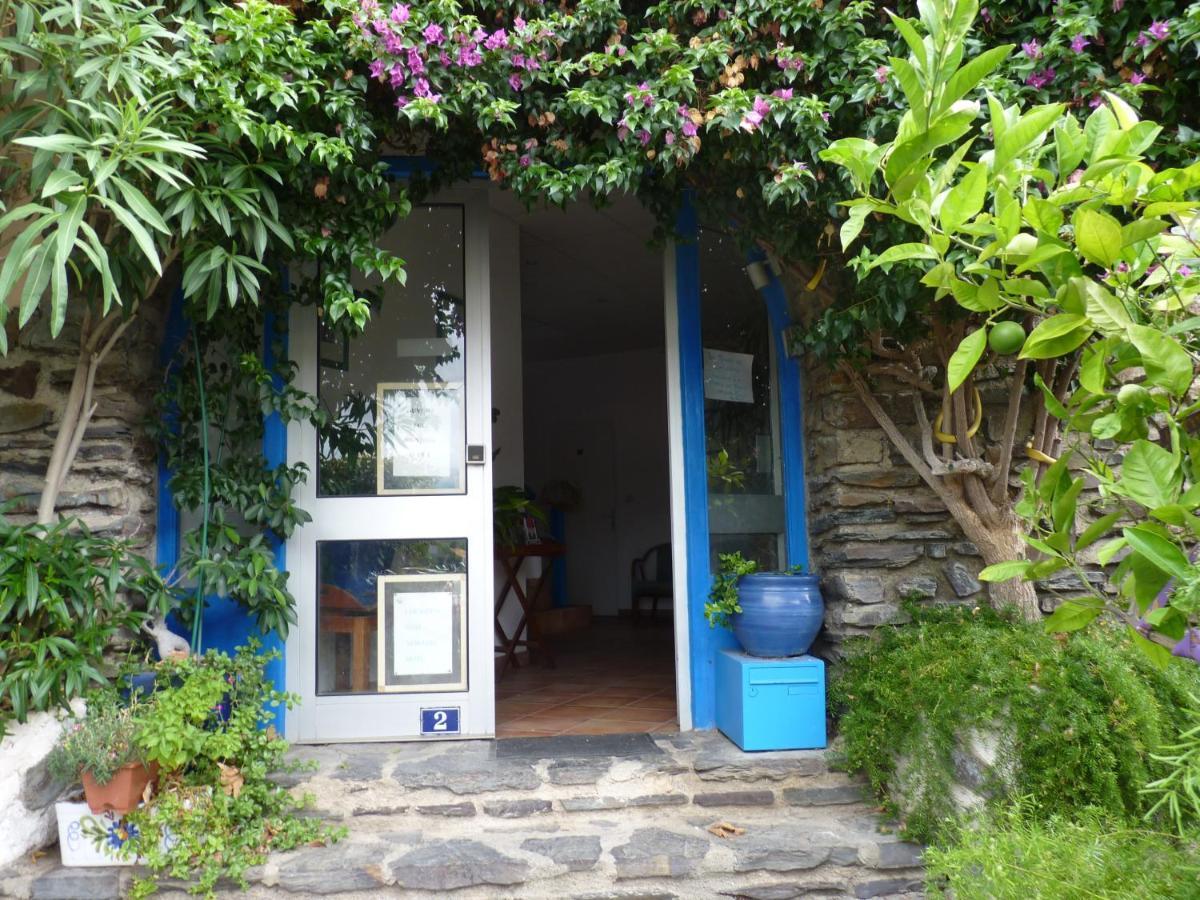 La Grande Bleue Apartman Banyuls-sur-Mer Kültér fotó